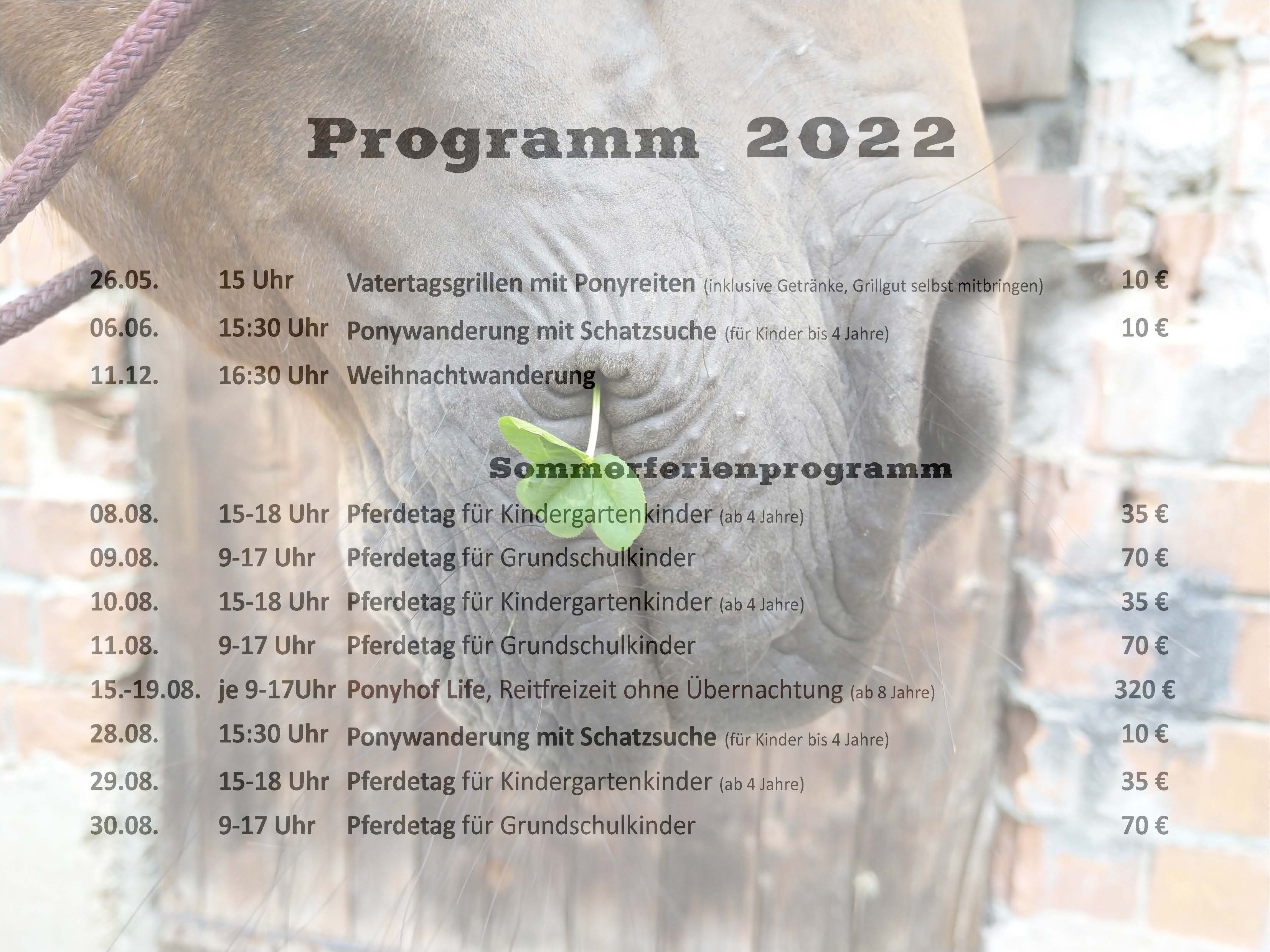 Program 22