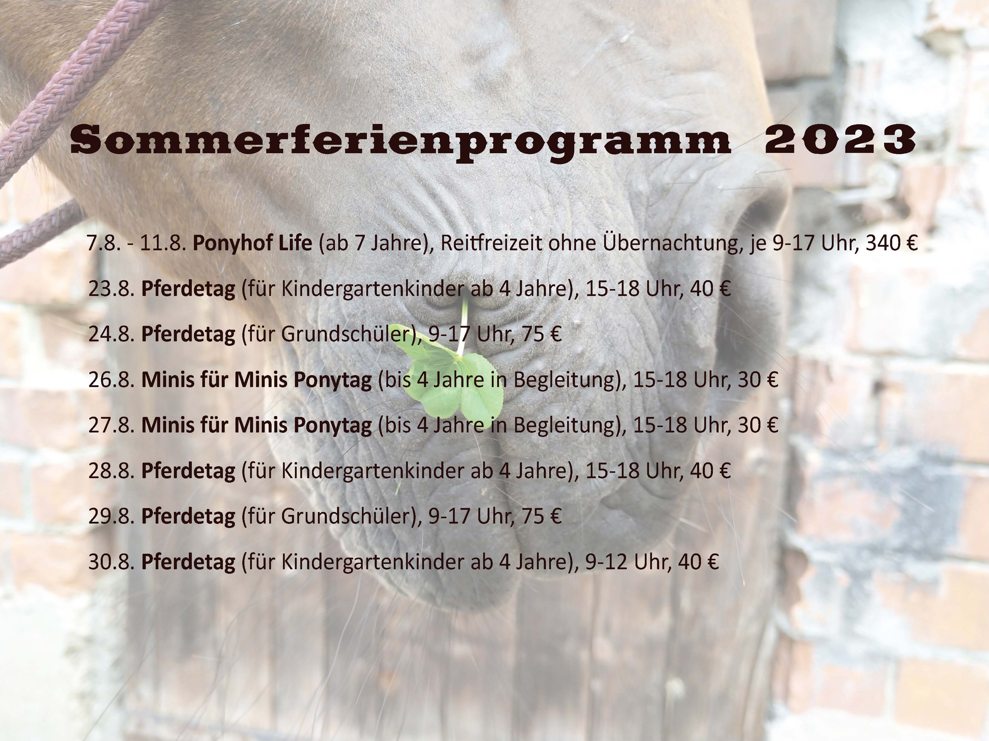 Sommerferienprogramm 23