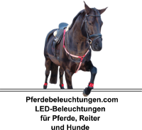 pferdebeleuchtung logo